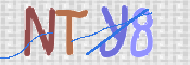 تصویر کپچا